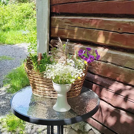 Vaeentupa